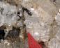 Preview: Sacrofanite